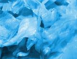 Close up on lettuce shreds in blue color for abstract background of random natural appearance