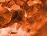 Beautiful conceptual abstract background in orange tones and composed of close up on a leafy plant