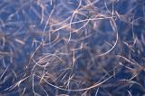 Conceptual background composed of light colored steel wire against blue