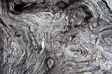 gnarled and knotty old wood background