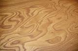 large open grain pattern of tangentially sawn wood