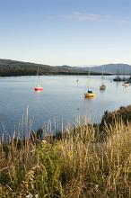 Tranquil scene of sailboats in Huon River, Tasmania, Australia
