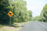 Kangaroo warning sign by road in Australia