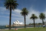 Circular Quay in Sydney harbour with a view through tropical palm trees of the iconic Sydney Opera House, Australia in a travel concept