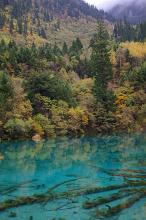 Cyan blue mountain lake surrounded by forests with mountain peaks and mist in the background in a stunning natural background