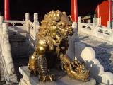Golden Dragon guarding in front of the Chinese Temple
