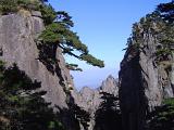 famous welcome pine in the yellow mountains, china
