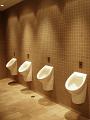 mens toilet: a row of clean white urinals