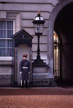 Guard on duty at Buckingham Palace, London, standing to attention in front of a sentry box at the entrance