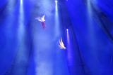Blurred motion view of acrobats performing against a blue background in a live circus performance