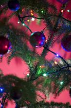 Colorful natural Christmas tree with baubles, decorations and twinkling multicolored lights on fresh green branches over a pink background