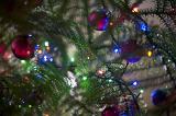 Close Up of Young Green Christmas Tree with Branches Decorated with Colorful Festive Baubles and Strings of Lights