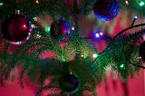 Close up shot of green sparkling Christmas tree