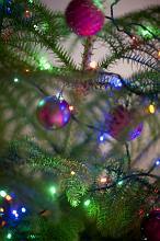 Close up of purple baubles hanging from Christmas tree branches, with colorful fairy lights