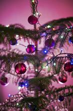 Fresh decorated evergreen Christmas tree hung with baubles and sparkling lights over a festive pink background