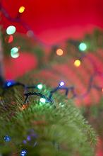 Christmas tree lights forming a sparkling multicolored bokeh for a festive celebration over a red background