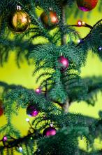 Natural fir Christmas tree with colorful decorations and sparkling lights over a bright green background, close up view