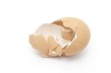 Broken Egg Shell. Broken clean shell of a hens egg discarded during cooking, on white with shadow.