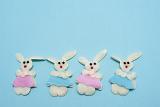Four needle work fluffy white Easter bunnies in pink and blue clothes on blue background with copyspace.