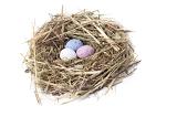 Speckled sugar coated candy Easter eggs in a straw nest on white