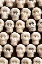 Bunch of tiny spooky looking plastic skull toys for Halloween theme. Includes copy space.