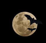 black sky and two bats silhouetted in front of the full moon