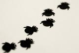 black spider shapes arranged crawling in a line on white with a shallow depth of field