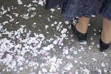paper and petal confetti on the ground after a wedding