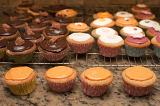 Making a batch of fairy cakes or cupcakes in the kitchen decorating them with colorful icing and flowers as they stand on wire trays on the counter cooling after baking