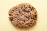 Single round crunchy raisin cookie made with oats on a yellow background, high angle view