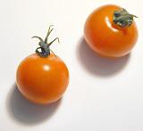 Two ripe red cherry tomatoes with green stalks viewed high angle on white with shadows in square format