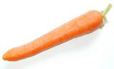 Single fresh raw whole carrot lying diagonally across the frame on a white background with copyspace