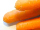 Close up texture of fresh raw carrots on a white background with focus to a single carrot in the top right of the frame