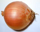 Whole fresh brown onion used as a cooking and salad ingredient for its pungent flavor, close up view