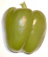 Whole fresh green bell pepper or capsicum used as a seasoning and flavoring in salads and cooking, close up on white