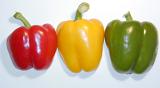Fresh whole colorful red, yellow and green sweet bell peppers arranged in a line on a white background