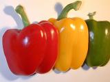Three colorful sweet bell peppers with a fresh whole red, yellow and green pepper lined up in a receding row on white with shadow