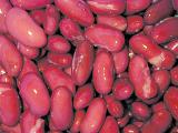 Background texture of red kidney beans, a healthy legume high in starch, protein and dietary fiber
