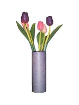 Arrangement of pretty pink and purple spring tulips in a purple cylindrical vase isolated on white