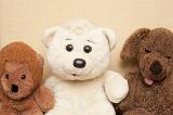 Three different cute soft cuddly soft plush toy bears with a white polar bear in the center, close up of their faces in a row against a wall