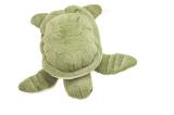 Top view of cute green plush stuffed animal turtle on isolated white background