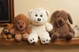 Row of three different plush teddy bear toys