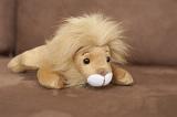 Fun little soft stuffed lion toy with a bushy blond mane lying on the floor viewed low angle with focus to the head
