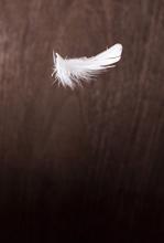White light feather floating in the air against dark wooden background with copy space. Idea concept