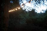 a festoon of glowing warm white coloured lamps in a wooded garden