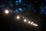 a glowing string of outdoor party lights pictured at dusk