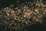 motion blurred field of firework sparks in a dark sky
