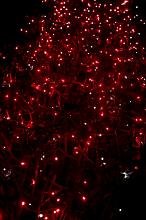 a mesh of red coloured twinkly fairy lights on dark background