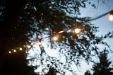 a festoon of party lights pictured at twilight outdoors