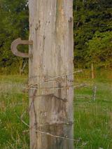 Barbed wire fence post with strands of old wire wrapped around a wooden pole with a metal latch or attachment hook in a country field